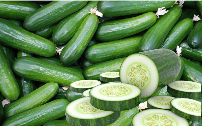 cucumber for hydration in summer